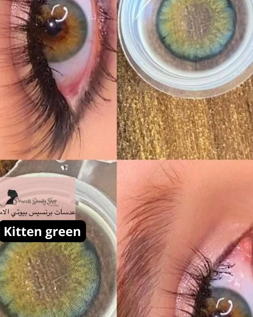 عدسة Kitten Green